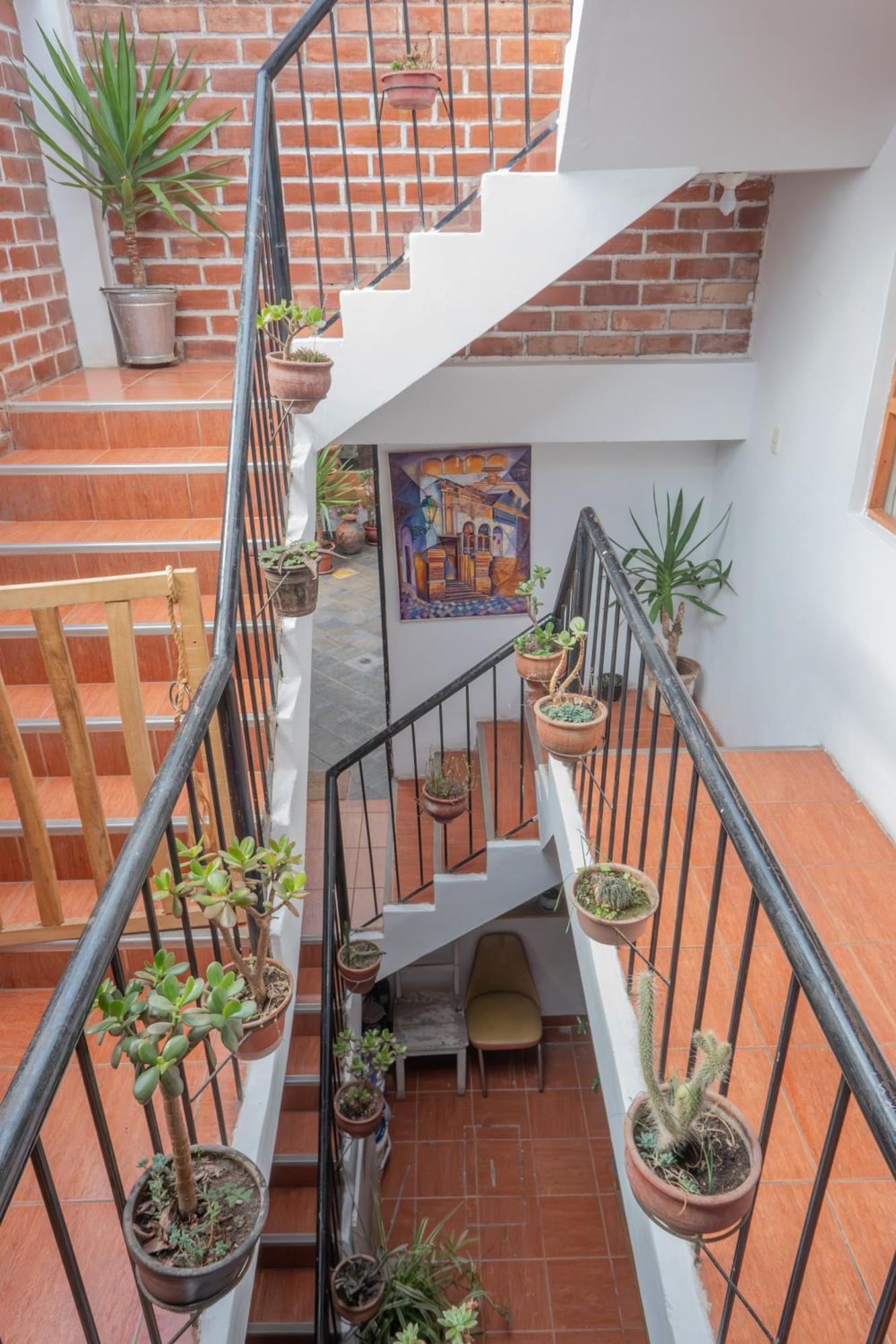 Native Soul Guesthouse Κούζκο Εξωτερικό φωτογραφία